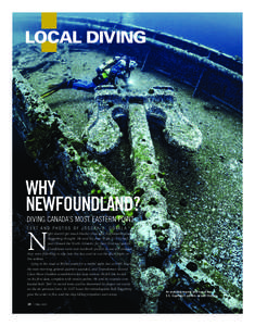 LOCAL DIVING  Why NeWfouNdlaNd? Diving CanaDa’s most eastern point