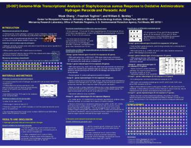 Microbiology / Genetics / Molecular genetics / Aging / DNA repair / Gene / Staphylococcus aureus / Staphylococcus / Reactive oxygen species / Biology / Bacteria / Gram-positive bacteria