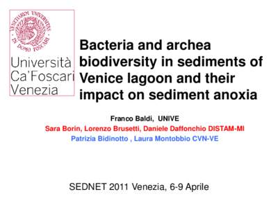 Bacteria and archea biodiversity in sediments of Venice lagoon and their impact on sediment anoxia Franco Baldi, UNIVE Sara Borin, Lorenzo Brusetti, Daniele Daffonchio DISTAM-MI