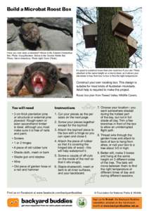 Build a Microbat Roost Box  Have you ever seen a microbat? Above is the Eastern Horseshoe Bat. Photo: Doug Beckers. Below is the Goulds Wattle Bat. Photo: Steve Amesbury. Photo right: Dave (Flickr).