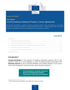 European IPR Helpdesk  Fact Sheet Commercialising Intellectual Property: Licence Agreements The European IPR Helpdesk is managed by the European Commission’s Executive Agency for Competitiveness and Innovation (EACI), 