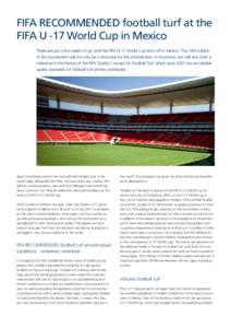 FIFA World Cup / Grass / Desso GrassMaster / FIFA / Sonera Stadium / Artificial turf / FieldTurf / Sports / Club Deportivo Guadalajara / Estadio Omnilife