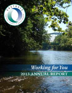 Working for You[removed]Annual Report Letters from Our Executive Director and Chairman