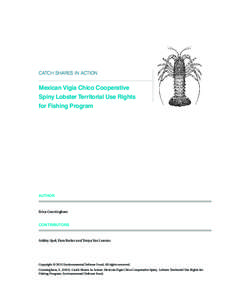 CATCH SHARES IN ACTION  Mexican Vigía Chico Cooperative Spiny Lobster Territorial Use Rights for Fishing Program