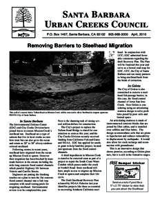 Santa Barbara Urban Creeks Council P.O. Box 1467, Santa Barbara, CA 93102      April, 2010 Removing Barriers to Steelhead Migration head. In conjunction with
