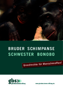 Bruder Schimpanse Schwester Bonobo chena ff en ! s n e