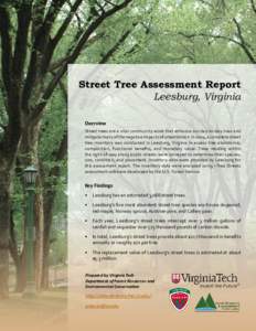 WilliamsburgTreeSummary11in