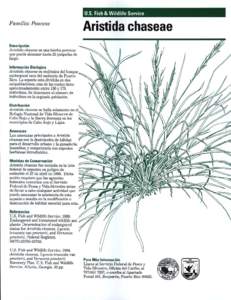 u.s. Fish & Wildlife Service Familia: Poaceae Aristida chaseae  Descripchin