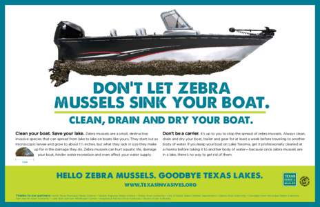 don’t let zebra mussels sink your boat. Clean your boat. Save your lake. Zebra mussels are a small, destructive Don’t be a carrier. It’s up to you to stop the spread of zebra mussels. Always clean,