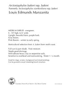 Arctostaphylos bakeri ssp. bakeri Formerly Arctostaphylos stanfordiana ssp. bakeri Louis Edmunds Manzanita  medium shrub - evergreen.