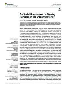 Bacterial Succession on Sinking Particles in the Ocean's Interior