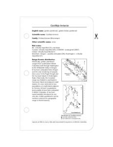 Species at Risk in Garry Oak & Associated Ecosystems in British Columbia (Castilleja levisecta)