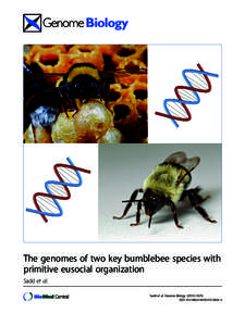 The genomes of two key bumblebee species with primitive eusocial organization