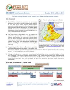 Food politics / Somali Region / Geography of Africa / Development / Biofuels / World food price crisis / Famine / Food security / Semien Wollo Zone / Subdivisions of Ethiopia / Zones of Ethiopia / Woredas of Ethiopia