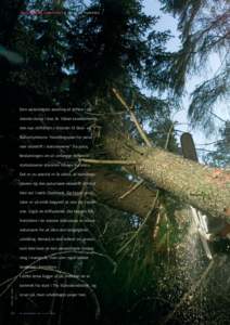 ❙ NATURNÆR SKOVDRIFT ❙ AF KLAVS ANDERSEN ❙  Den væsentligste ændring af driften i de danske skove i 200 år. Sådan karakteriseres den nye driftsform i forordet til Skov- og Naturstyrelsens “Handlingsplan for 