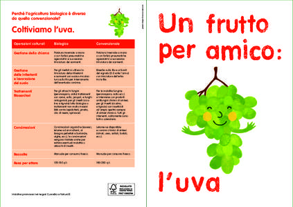 graphic design Francesca Spinazzé  Perché l’agricoltura biologica è diversa da quella convenzionale?  Coltiviamo l’uva.