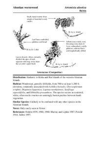 Botany / Artemisia aleutica / Diapensia / Chrysosplenium / Sibbaldia procumbens / Saxifraga oppositifolia / Aleutian Islands / Flora / Physical geography / Alpine flora