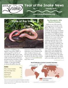 Year of the Snake News No. 1 January 2013