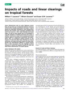 Earth / Biogeography / Ecosystems / Neotropic / Environmental issues / Rainforest / Tropical rainforest / Deforestation / Amazon rainforest / Forestry / Tropical and subtropical moist broadleaf forests / Environment