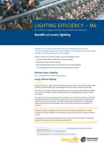 LIGHTING EFFICIENCY – M6 Eco-efficiency opportunities for Queensland manufacturers Benefits of correct lighting  Lighting can account for up to seven per cent of industrial electricity use.