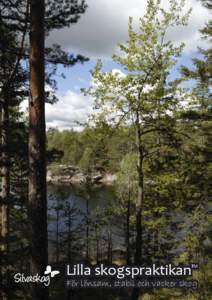 Lilla skogspraktikan™ För lönsam, stabil och vacker skog