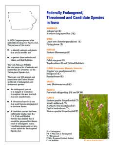 Federally Endangered, Threatened and Candidate Species in Iowa MAMMALS Indiana bat (E) Northern long-eared bat (PE)