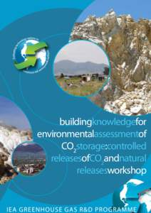 buildingknowledgefor environmentalassessmentof CO2storage:controlled releasesofCO2andnatural releasesworkshop