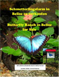 Schmetterlingsfarm in Belize zu verkaufen Butterfly Ranch in Belize for Sale  20 ha (50 Acre) Butterfly Ranch in Belize for Sale