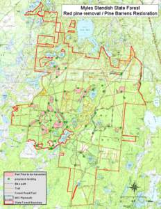 Myles Standish State Forest Red pine removal / Pine Barrens Restoration ) 