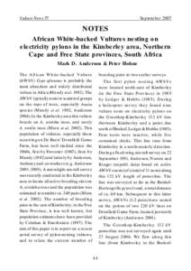 Vulture News 57  September 2007 NOTES African White-backed Vultures nesting on