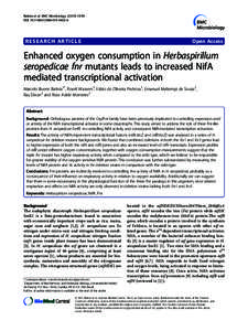 Enhanced oxygen consumption in Herbaspirillum seropedicae fnr mutants leads to increased NifA mediated transcriptional activation