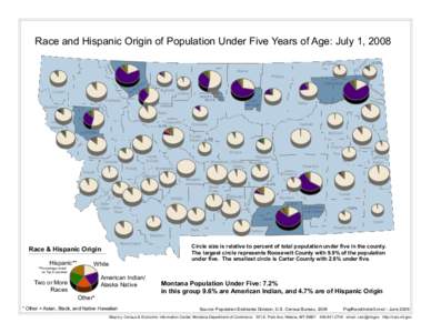 Race and Hispanic Origin of Population Under Five Years of Age: July 1, 2008  Lincoln BL