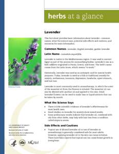 Lavender This fact sheet provides basic information about lavender—common names, what the science says, potential side effects and cautions, and resources for more information.  Common Names—lavender, English lavende