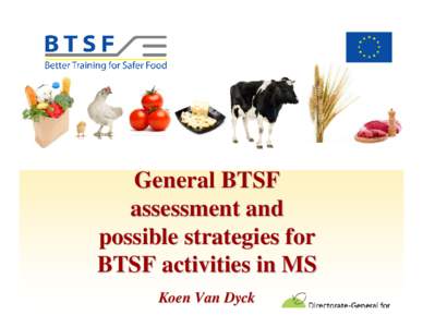 General BTSF assessment and possible strategies for BTSF activities in MS Koen Van Dyck