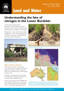 Understanding the fate of nitrogen in the Lower Burdekin