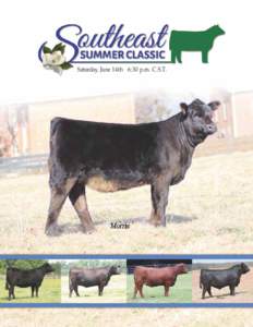 Saturday, June 14th 6:30 p.m. C.S.T.  – Saturday, June 14th • 6:30 p.m. C.S.T. – Held in conjunction with the Eastern Regional Junior Limousin Show and Southeast Summer Classic Level 1 MOE Show Middle Tennessee St