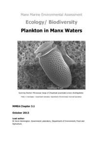 Manx Marine Environmental Assessment  Ecology/ Biodiversity Plankton in Manx Waters  Scanning Electron Microscope image of Dinophysis acuminata (a toxic dinoflagellate).