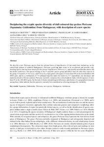 Deciphering the cryptic species diversity of dull-coloured day geckos Phelsuma (Squamata: Gekkonidae) from Madagascar, with description of a new species