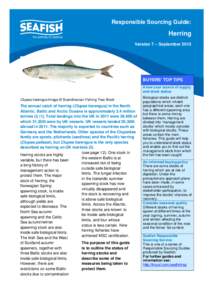 Responsible Sourcing Guide:  Herring Version 7 – September[removed]BUYERS’ TOP TIPS