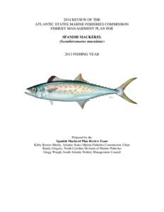 Fisheries science / Stock assessment / Atlantic Spanish mackerel / Mackerel / Fisheries / King mackerel / Bycatch / Overfishing / Atlantic States Marine Fisheries Commission / Fish / Scombridae / Sport fish