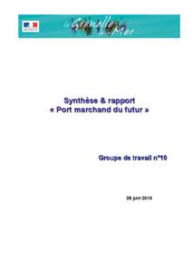 Synthèse & rapport « Port marchand du futur »