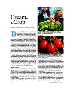 Cream Crop of  Genetic Preservation of Specialty Crops
