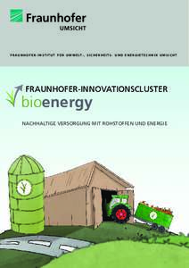 F R A UNH O F ER - INSTITUT F Ü R u m w e lt- , s i c h e r h e i t s - u n d e n e r g i e t e c h n i k UMSICHT  Fraunhofer-Innovationscluster  bioenergy