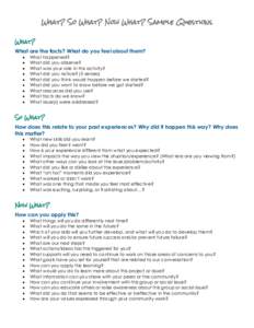 What? So What? Now What? Sample Questions What? What are the facts? What do you feel about them?  