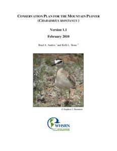 CONSERVATION PLAN FOR THE MOUNTAIN PLOVER (CHARADRIUS MONTANUS ) Version 1.1 February 2010 Brad A. Andres 1 and Kelli L. Stone 2