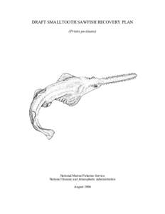 Draft Recovery Plan for Smalltooth Sawfish (Pristis pectinata)