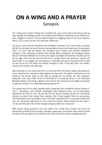 Microsoft Word - onawingandaprayer_synopsis.docx