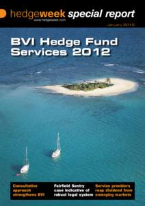 January[removed]BVI Hedge Fund Services[removed]Consultative