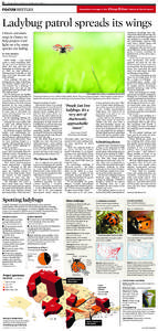 14  Chicago Tribune | Section 1 | Tuesday, June 5, 2012 D FOCUS BEETLES