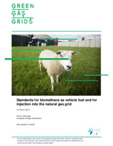 Standards for biomethane as vehicle fuel and for injection into the natural gas grid 22 March 2013 Arthur Wellinger European Biogas Association
